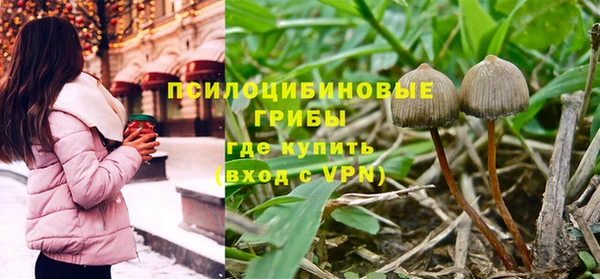 прущий лед Горняк
