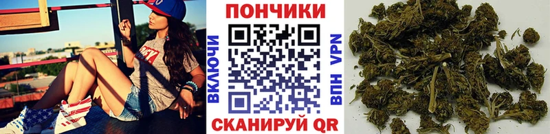 hydra ссылка  Дмитровск  Бошки Шишки конопля 